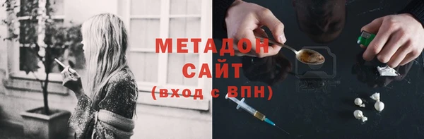 хмурый Аркадак