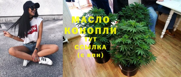 хмурый Аркадак