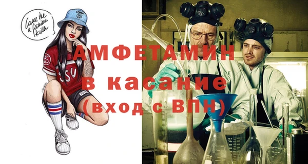 хмурый Аркадак